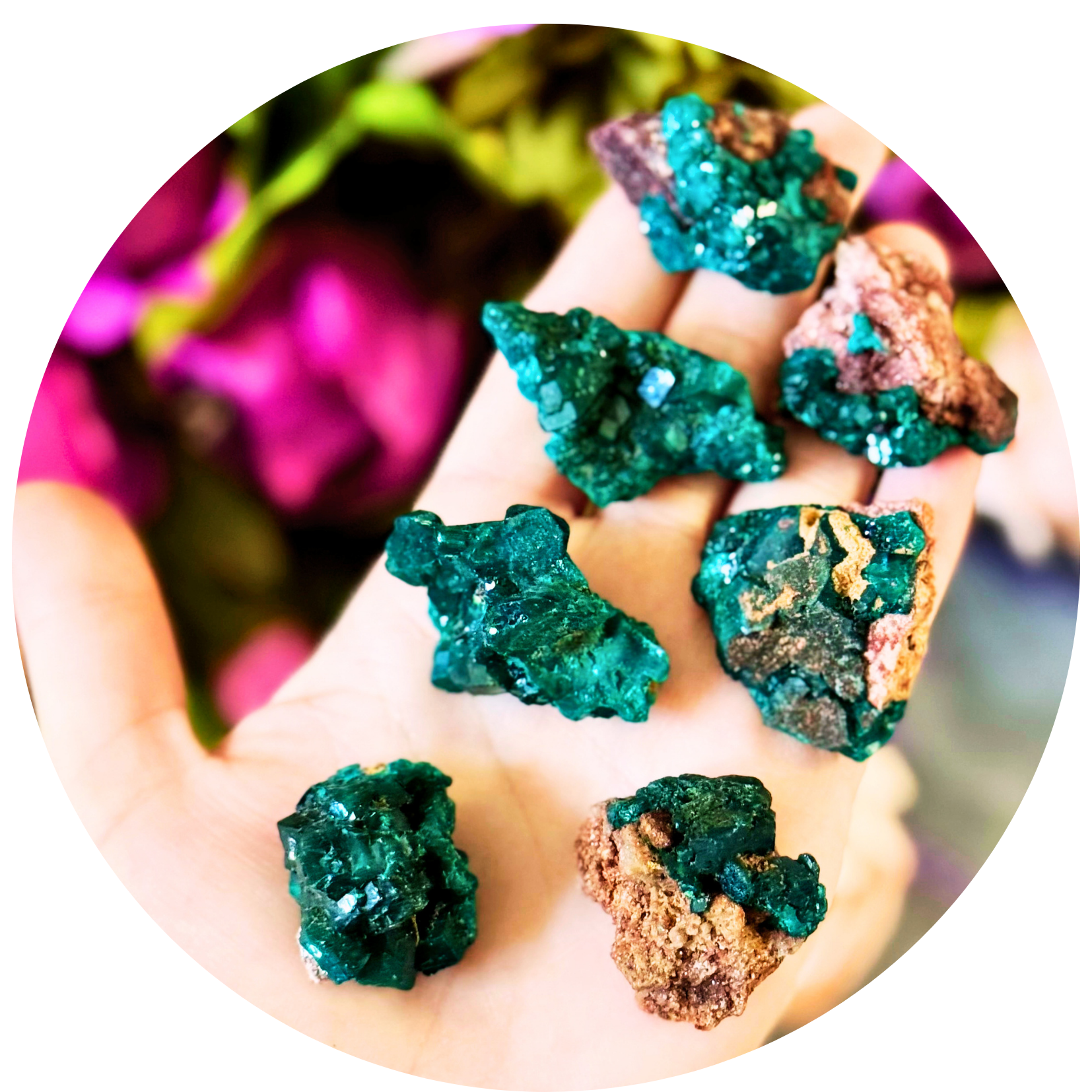 Raw Dioptase Crystal Specimens, Green Dioptase Mineral
